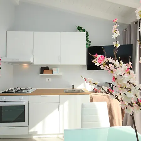 Residenza Oleandri *